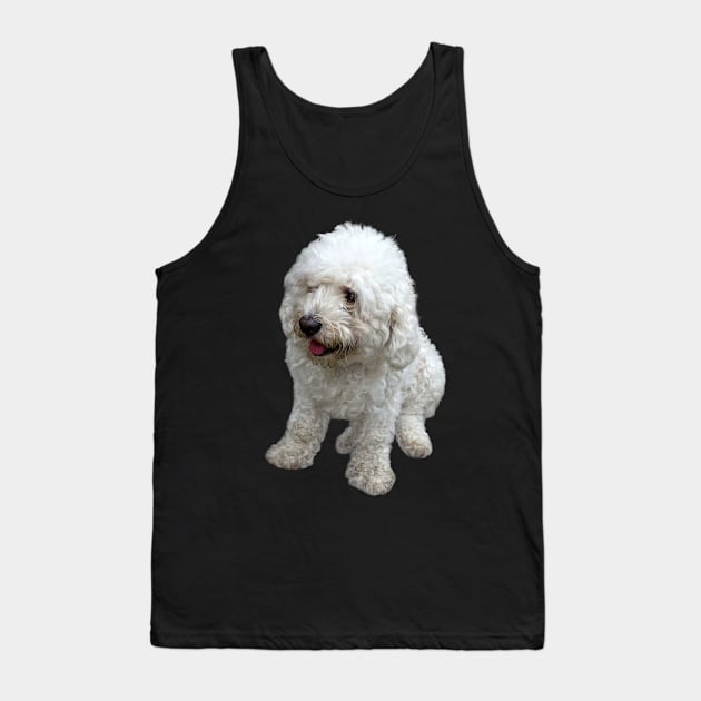 Maltipoo Puppy Tank Top by SusanSavad